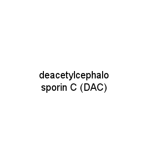 deacetylcephalosporin C (DAC)